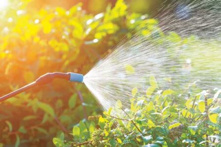 How To Avoid Pesticide Drift in Your Organic Garden